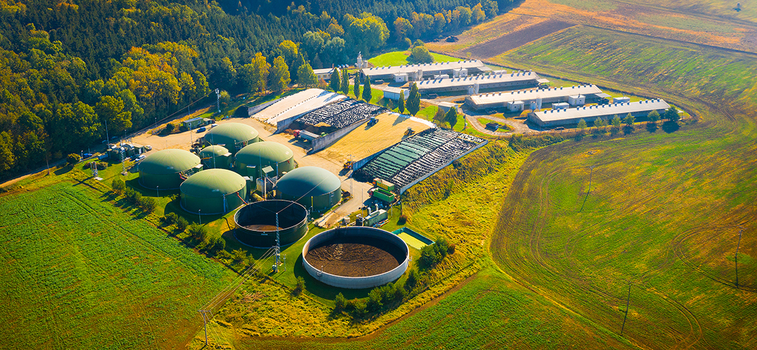 Renewable Natural Gas