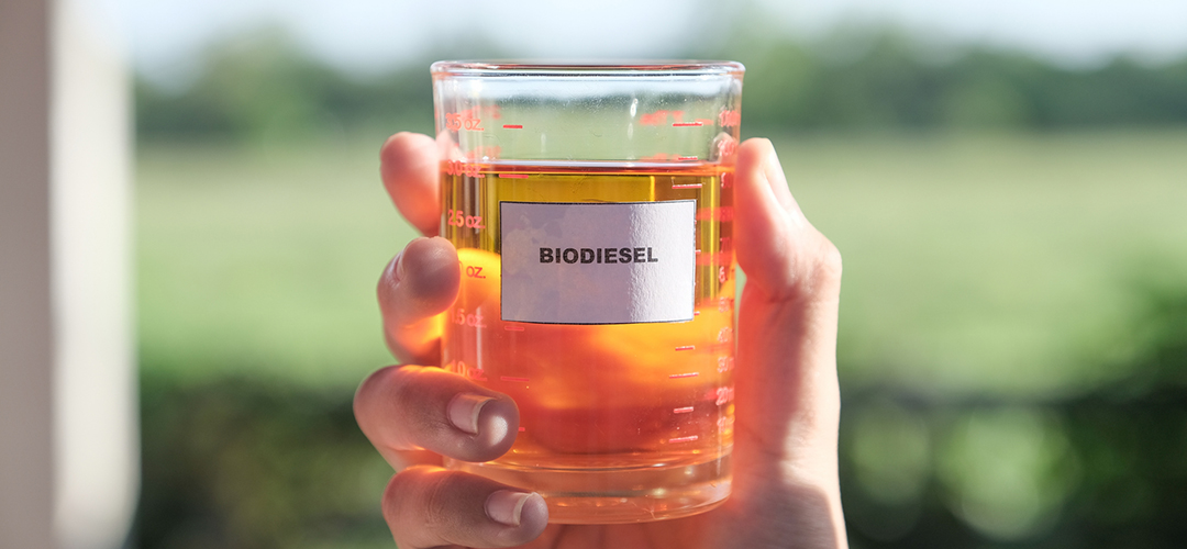 Life Cycle Assessment for Biodiesel: Analyzing biodiesel sustainability for lower environmental impact